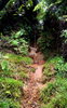 photo thumbnail #15