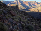 photo thumbnail #12