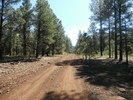 photo thumbnail #1