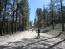photo thumbnail #5