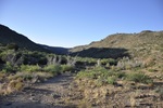 photo thumbnail #2