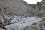 photo thumbnail #7