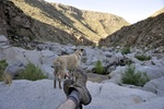 photo thumbnail #9