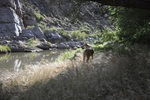 photo thumbnail #10