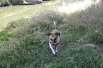photo thumbnail #11