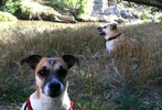 photo thumbnail #13