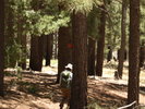 photo thumbnail #3