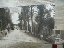 photo thumbnail #10
