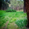 photo thumbnail #2