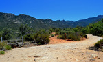 photo thumbnail #1