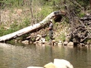 photo thumbnail #14