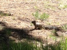 photo thumbnail #15