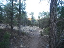 photo thumbnail #4