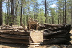 photo thumbnail #2