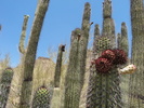 photo thumbnail #3