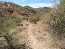 photo thumbnail #6