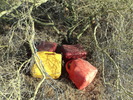 photo thumbnail #8