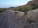 photo thumbnail #10