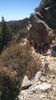 photo thumbnail #7