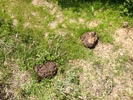 photo thumbnail #13