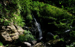 photo thumbnail #6