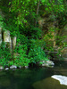 photo thumbnail #11