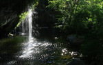 photo thumbnail #9