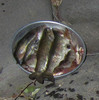 photo thumbnail #13