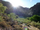 photo thumbnail #5