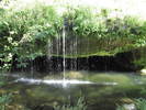 photo thumbnail #7