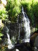 photo thumbnail #15