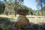 photo thumbnail #5