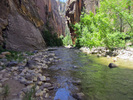 photo thumbnail #2