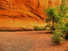 photo thumbnail #8