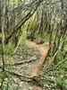 photo thumbnail #10