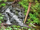 photo thumbnail #8