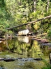 photo thumbnail #11
