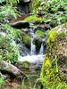 photo thumbnail #12