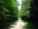 photo thumbnail #1