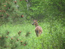 photo thumbnail #3