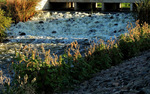 photo thumbnail #12