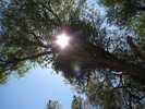 photo thumbnail #13