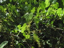 photo thumbnail #15