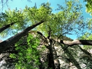photo thumbnail #14
