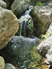 photo thumbnail #15