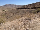 photo thumbnail #3