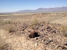 photo thumbnail #5