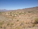 photo thumbnail #8