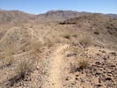 photo thumbnail #9