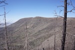 photo thumbnail #9